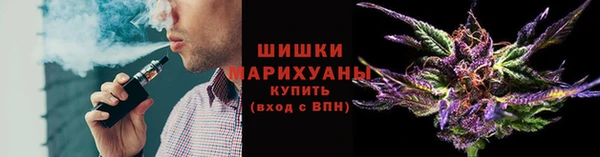 PSILOCYBIN Остров