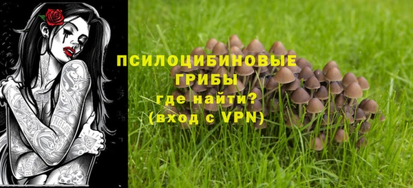 хмурый Балахна