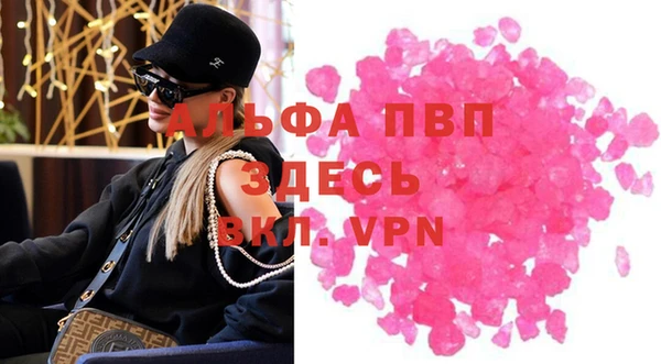индика Осинники
