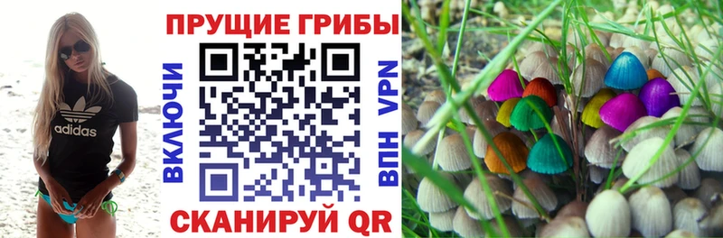 mega ссылки  Барыш  Галлюциногенные грибы мухоморы 